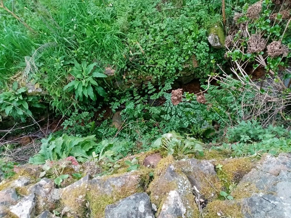Quinta para Venda em Mação, Penhascoso e Aboboreira Foto 42