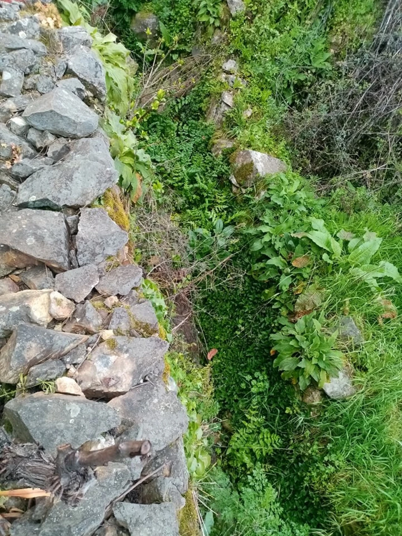 Quinta para Venda em Mação, Penhascoso e Aboboreira Foto 44