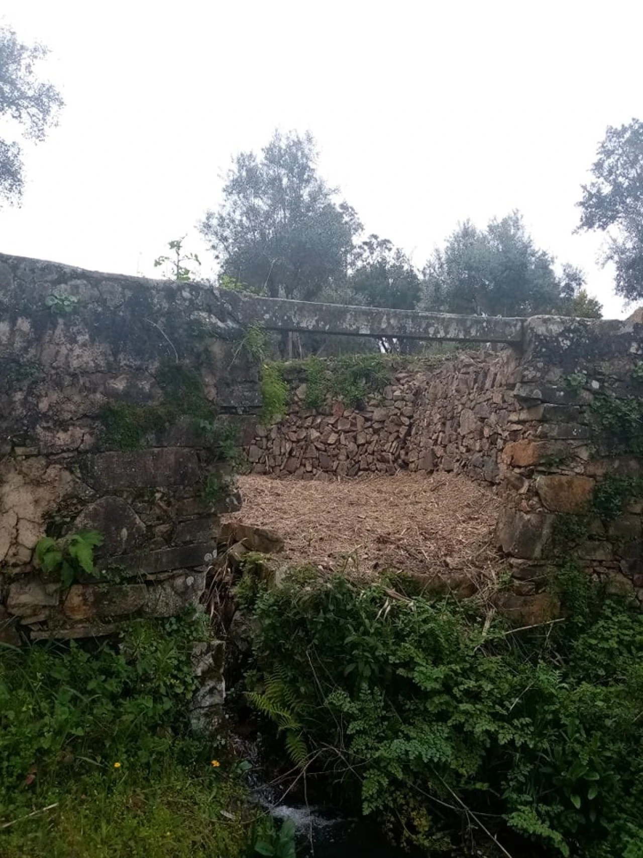 Quinta para Venda em Mação, Penhascoso e Aboboreira Foto 47