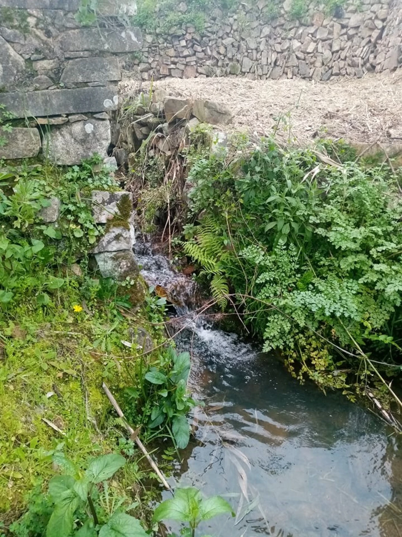 Quinta para Venda em Mação, Penhascoso e Aboboreira Foto 48