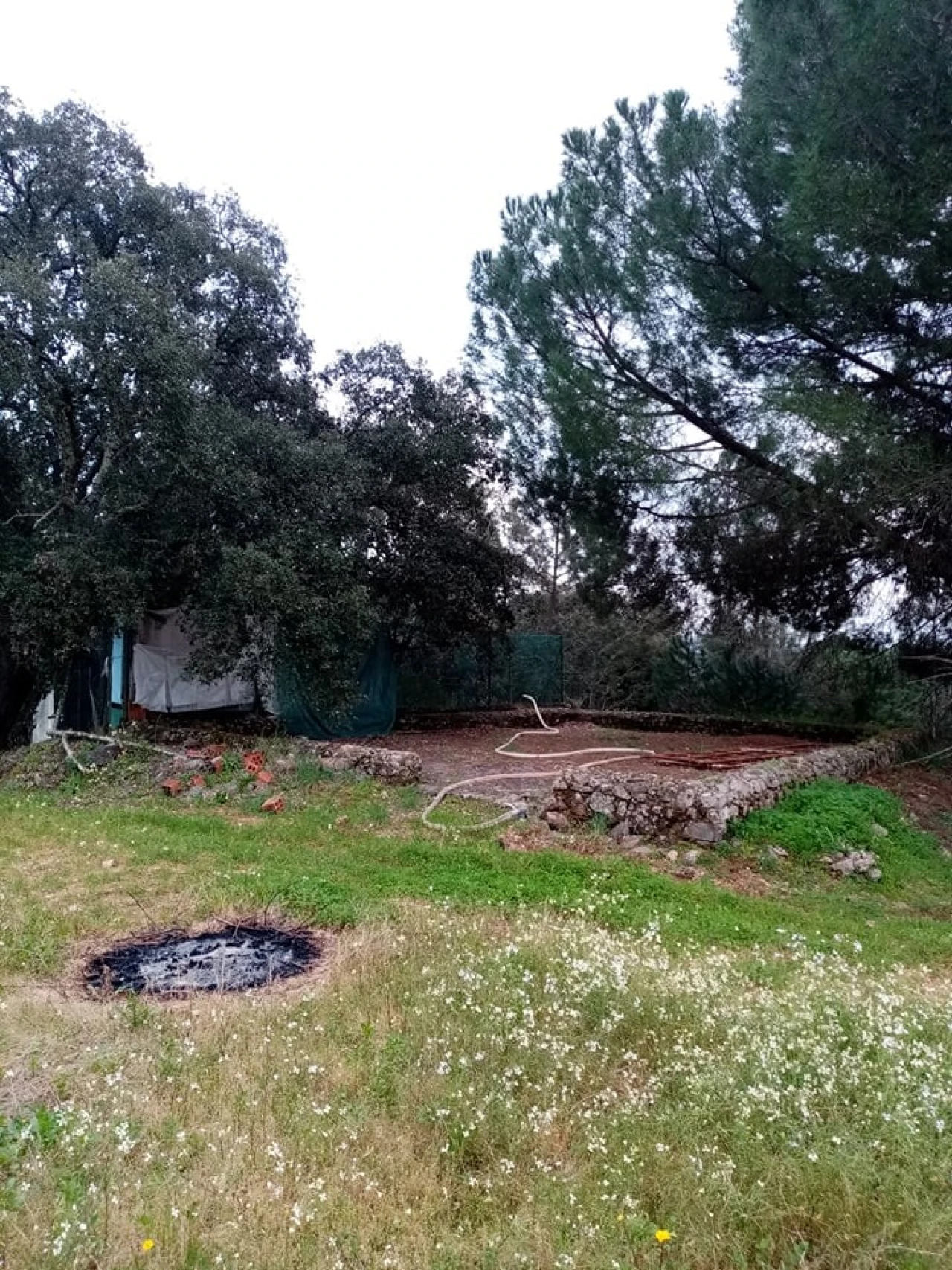Quinta para Venda em Mação, Penhascoso e Aboboreira Foto 52