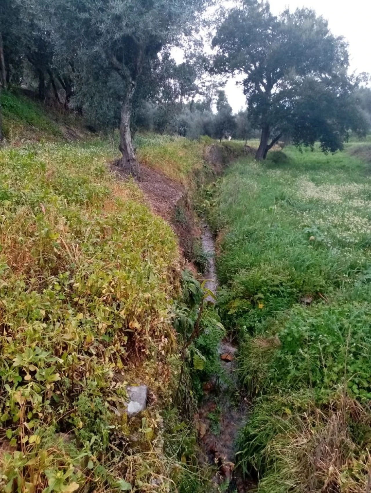 Quinta para Venda em Mação, Penhascoso e Aboboreira Foto 74