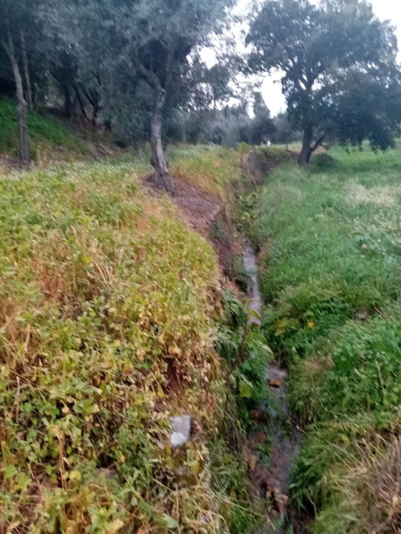 Quinta para Venda em Mação, Penhascoso e Aboboreira Foto 75