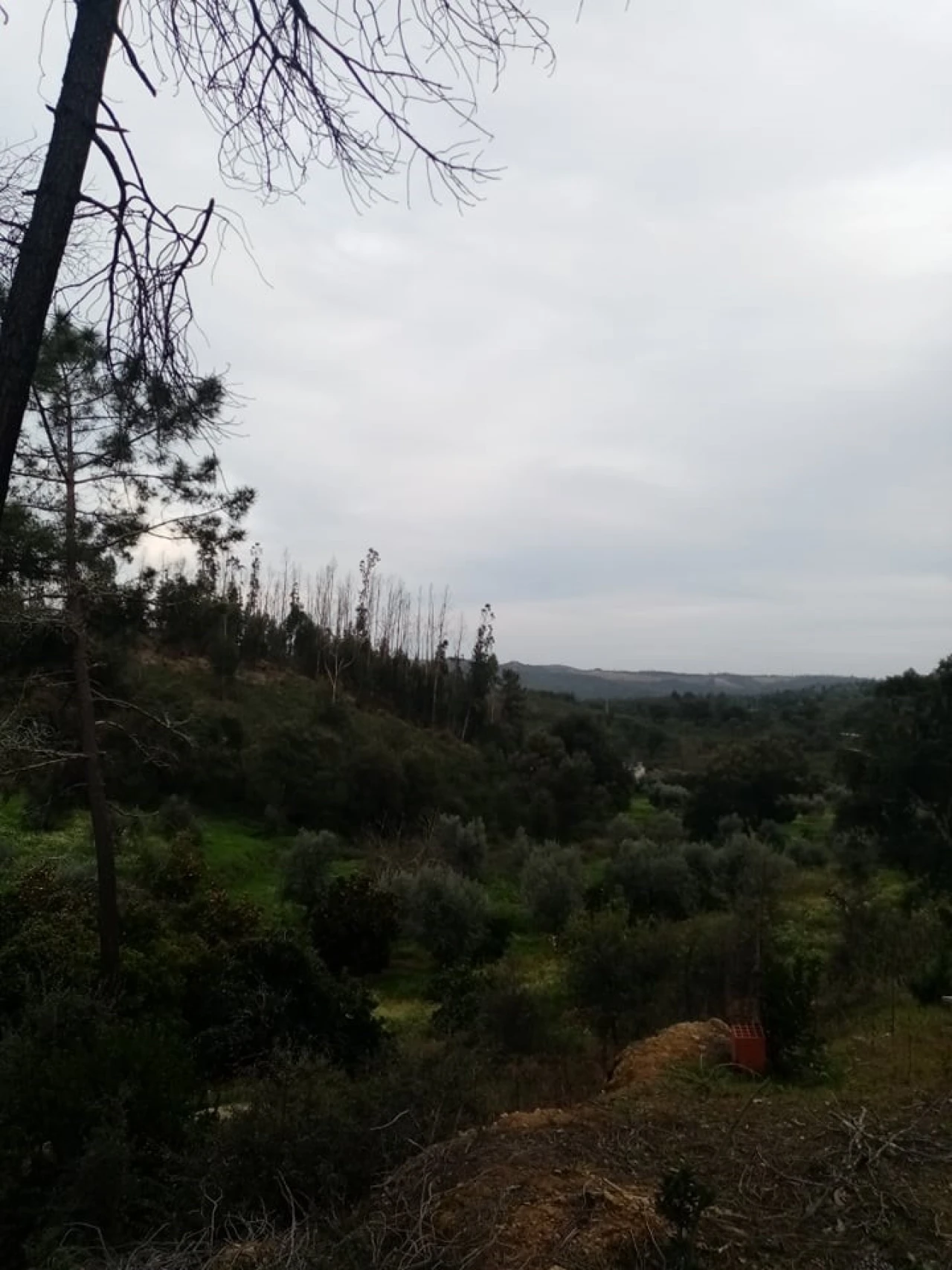 Quinta para Venda em Mação, Penhascoso e Aboboreira Foto 79