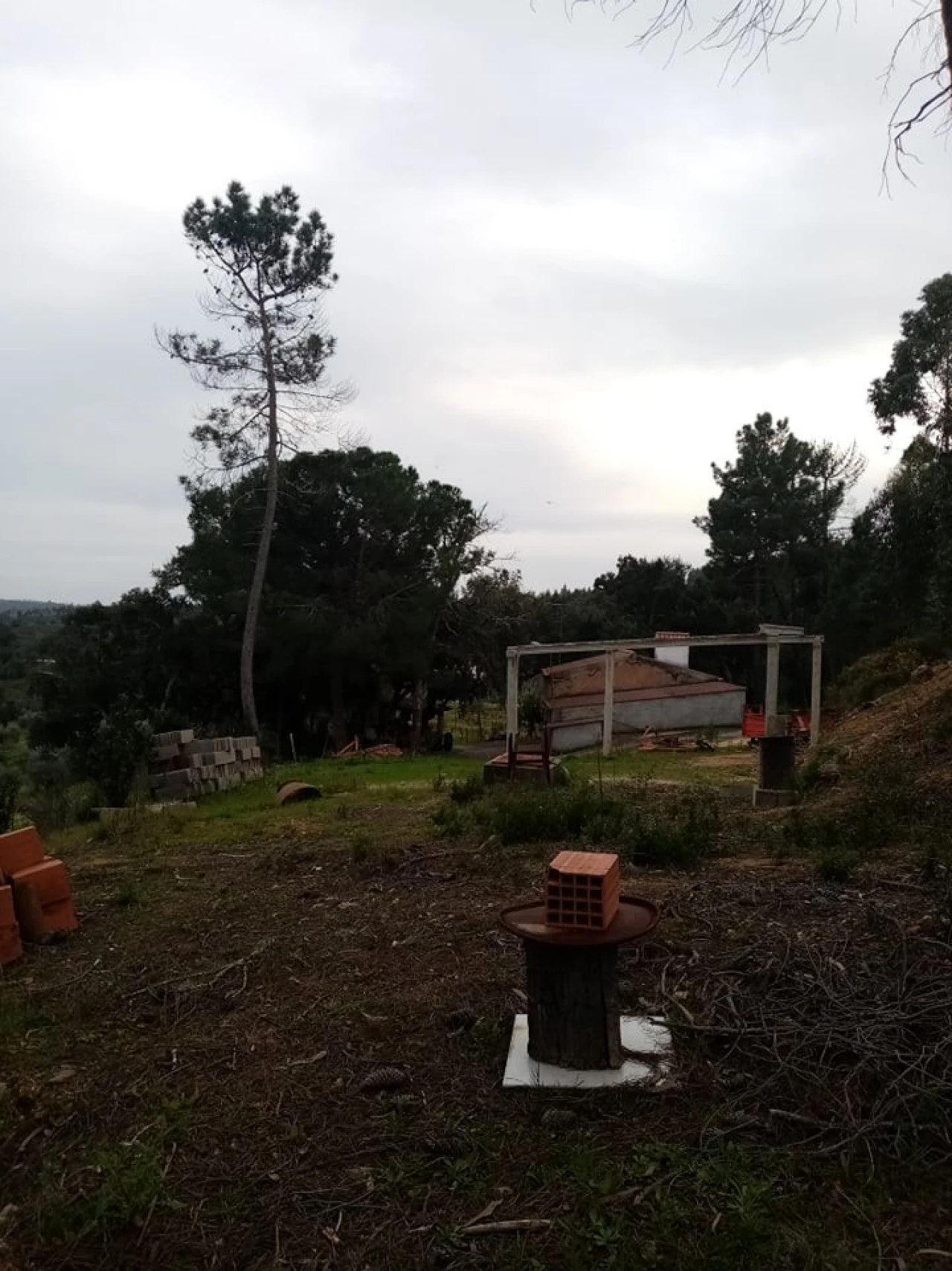 Quinta para Venda em Mação, Penhascoso e Aboboreira Foto 81
