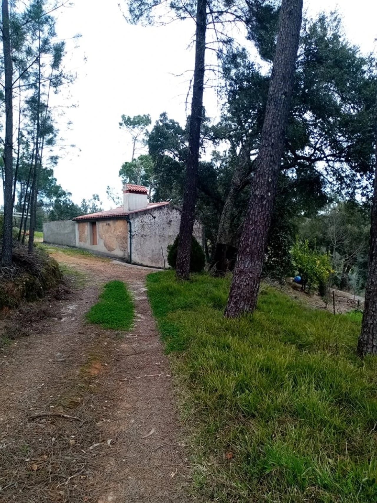 Quinta para Venda em Mação, Penhascoso e Aboboreira Foto 99