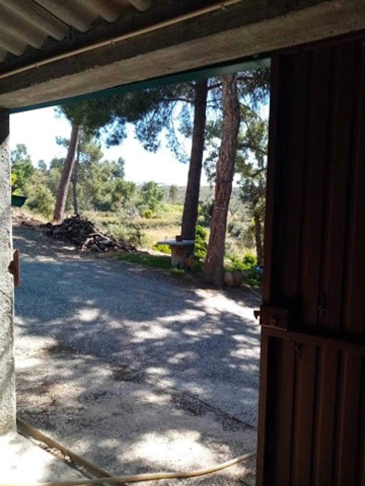 Quinta para Venda em Mação, Penhascoso e Aboboreira Foto 123