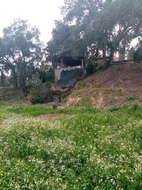 Quinta para Venda em Mação, Penhascoso e Aboboreira