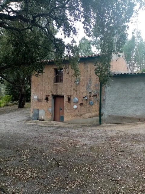 Quinta para Venda em Mação, Penhascoso e Aboboreira