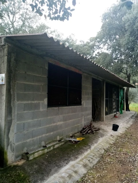 Quinta para Venda em Mação, Penhascoso e Aboboreira
