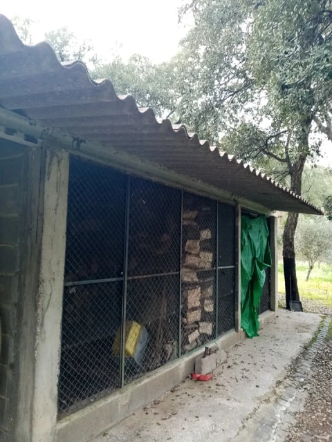 Quinta para Venda em Mação, Penhascoso e Aboboreira