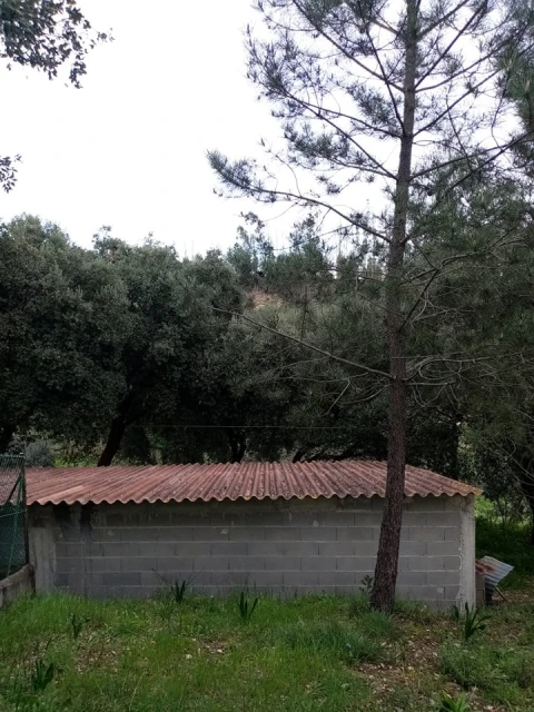 Quinta para Venda em Mação, Penhascoso e Aboboreira