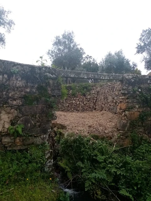 Quinta para Venda em Mação, Penhascoso e Aboboreira