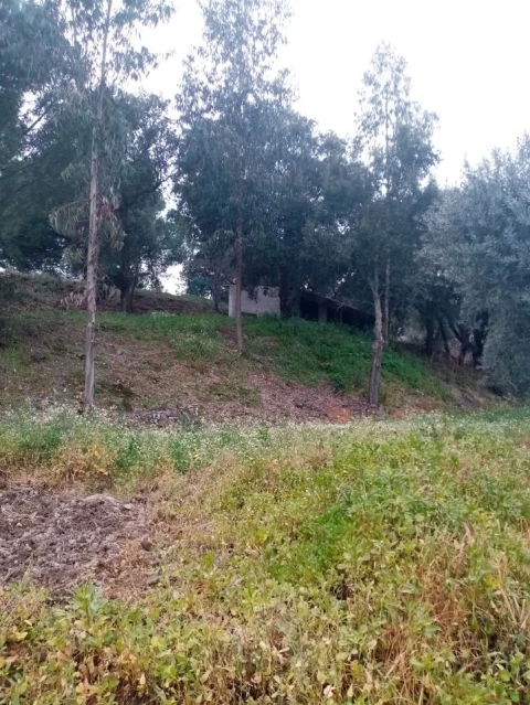 Quinta para Venda em Mação, Penhascoso e Aboboreira