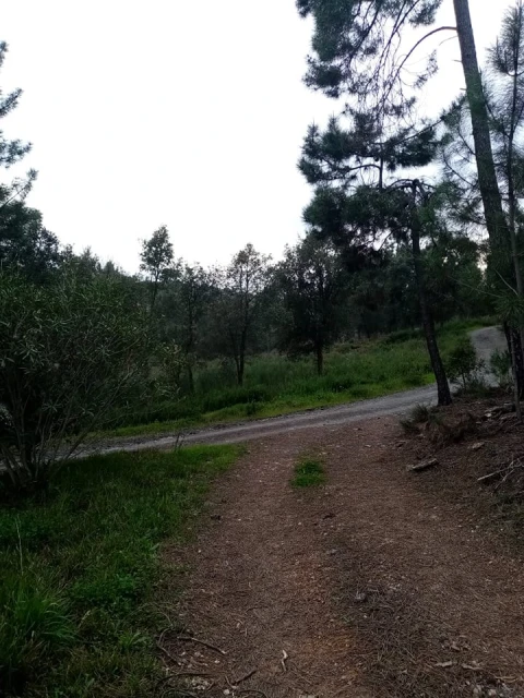 Quinta para Venda em Mação, Penhascoso e Aboboreira