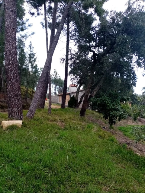 Quinta para Venda em Mação, Penhascoso e Aboboreira