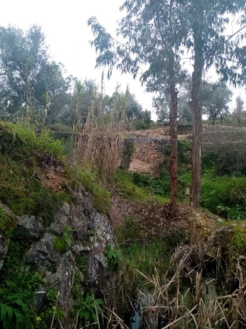 Quinta para Venda em Mação, Penhascoso e Aboboreira