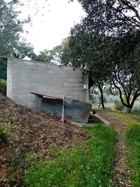 Quinta para Venda em Mação, Penhascoso e Aboboreira