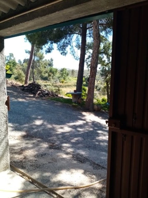 Quinta para Venda em Mação, Penhascoso e Aboboreira