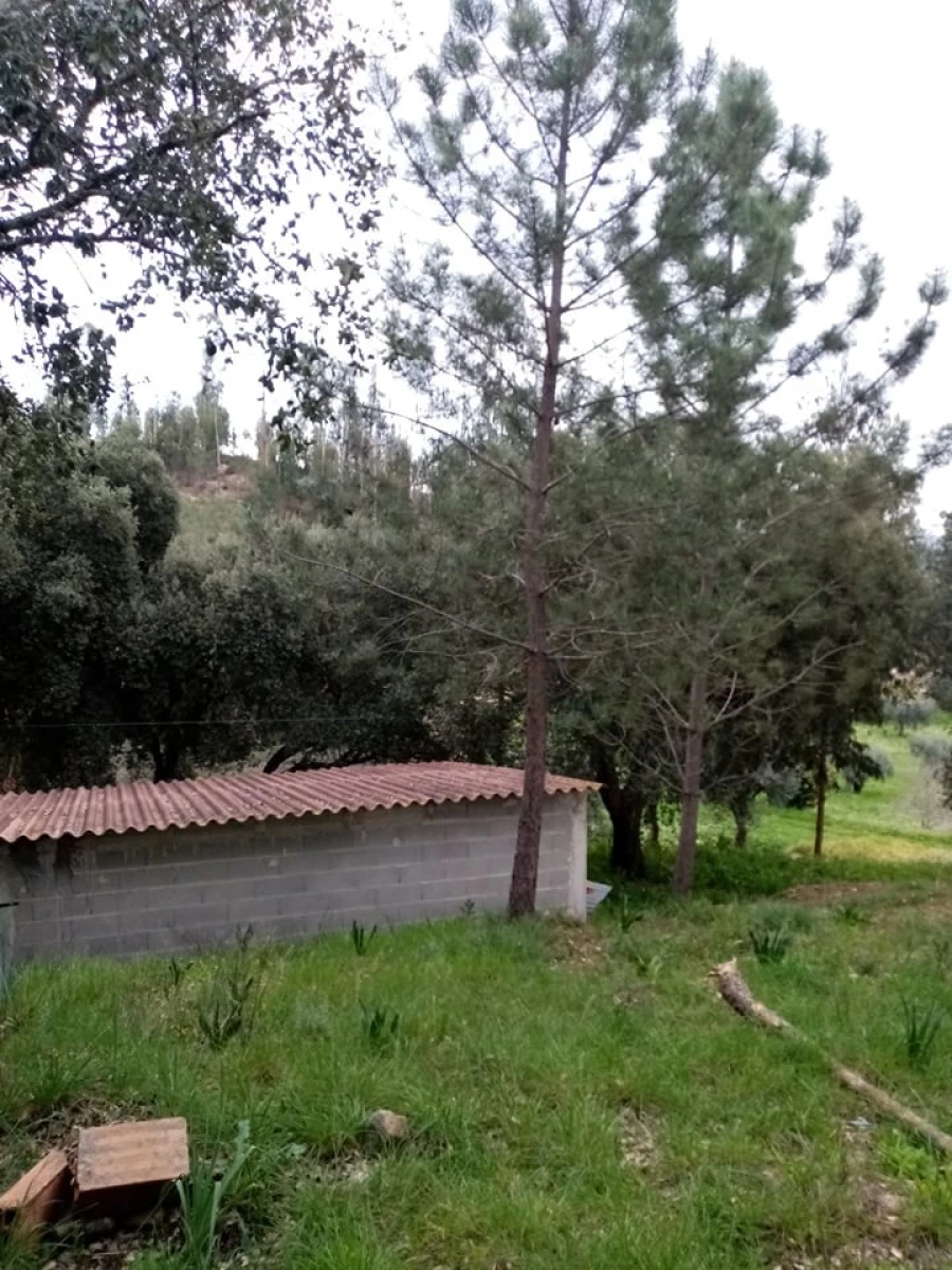 Quinta para Venda em Mação, Penhascoso e Aboboreira Foto 36