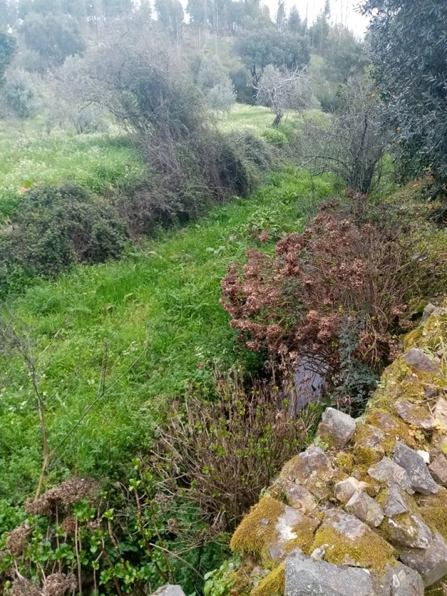 Quinta para Venda em Mação, Penhascoso e Aboboreira Foto 43