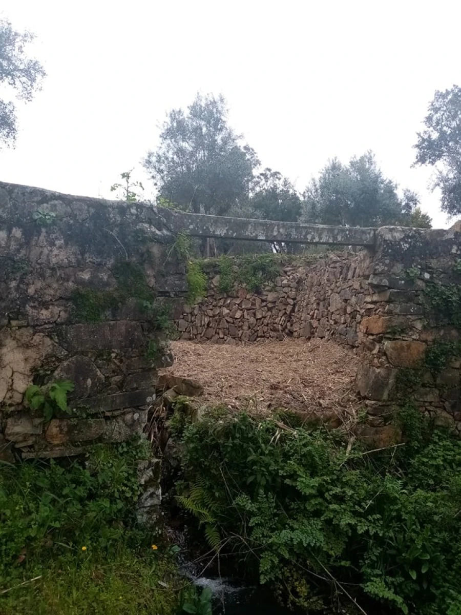 Quinta para Venda em Mação, Penhascoso e Aboboreira Foto 47