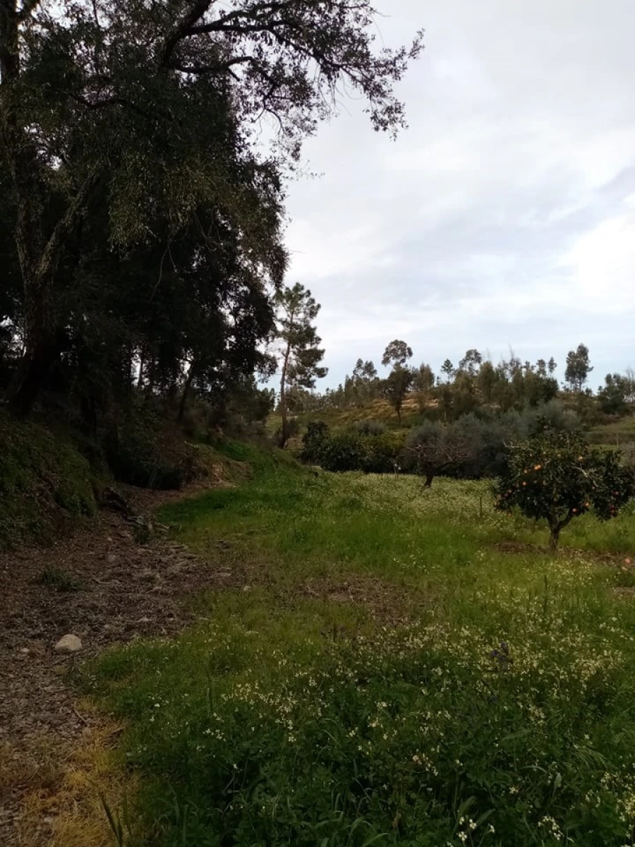 Quinta para Venda em Mação, Penhascoso e Aboboreira Foto 51