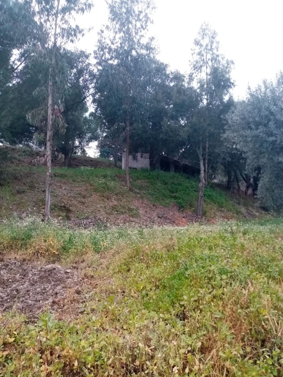 Quinta para Venda em Mação, Penhascoso e Aboboreira Foto 70