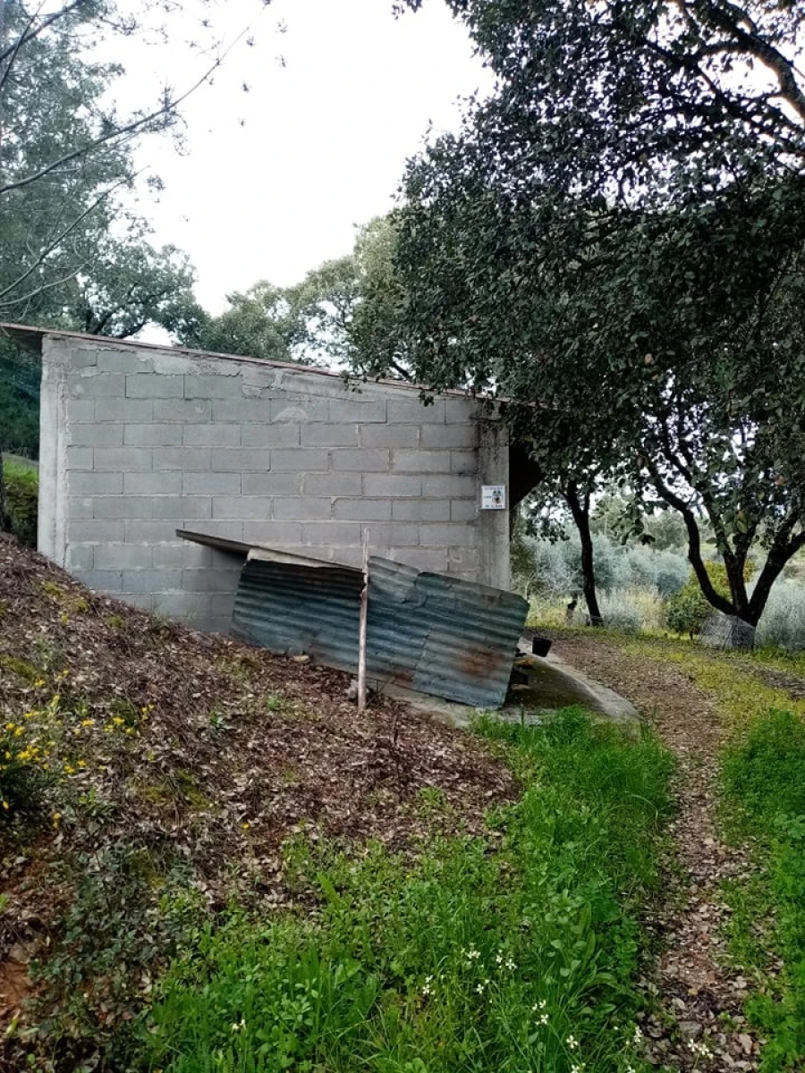 Quinta para Venda em Mação, Penhascoso e Aboboreira Foto 107
