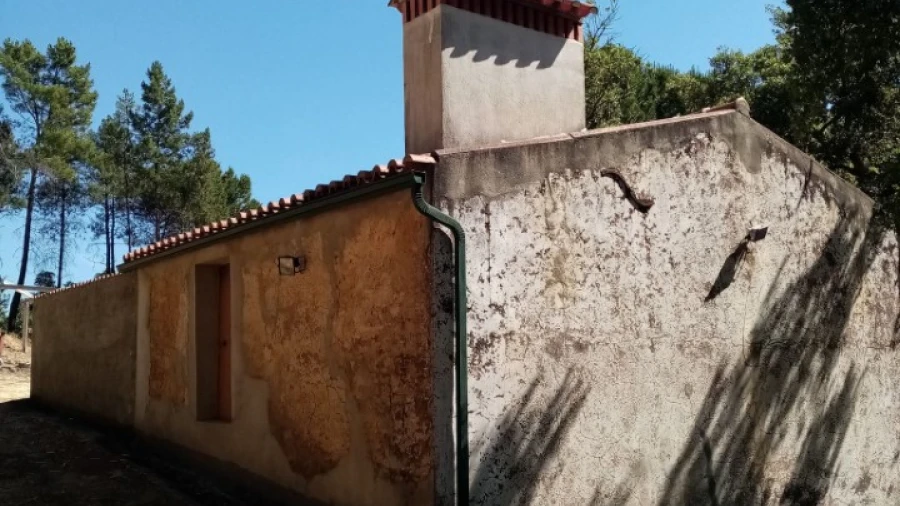 Quinta para Venda em Mação, Penhascoso e Aboboreira