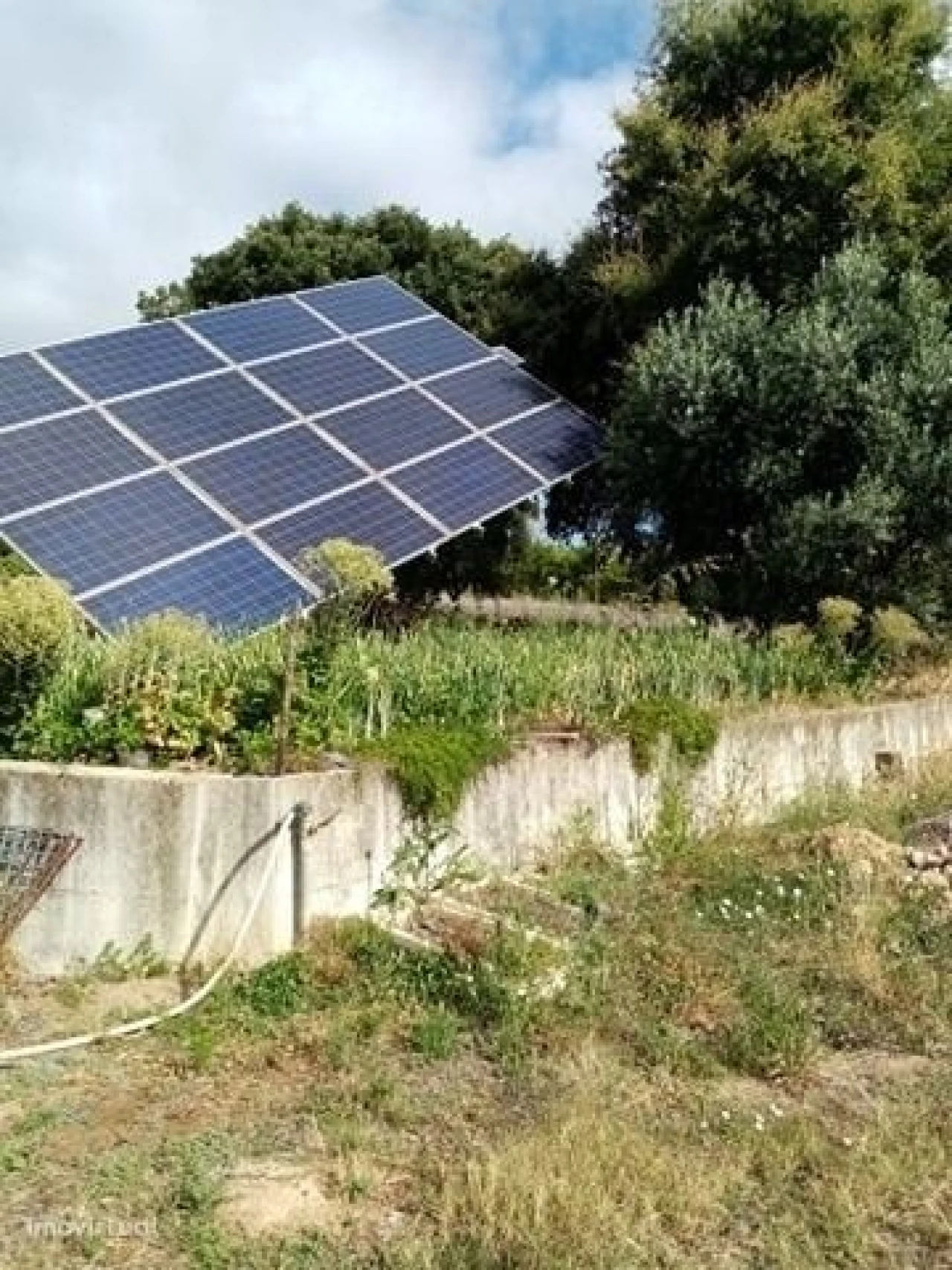 Quinta para Venda em Mação, Penhascoso e Aboboreira Foto 9