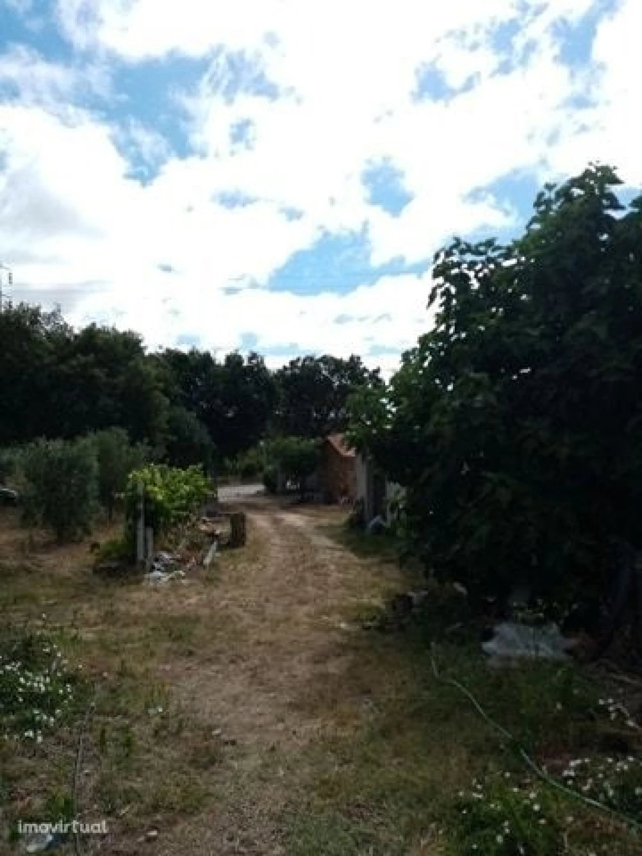 Quinta para Venda em Mação, Penhascoso e Aboboreira Foto 12
