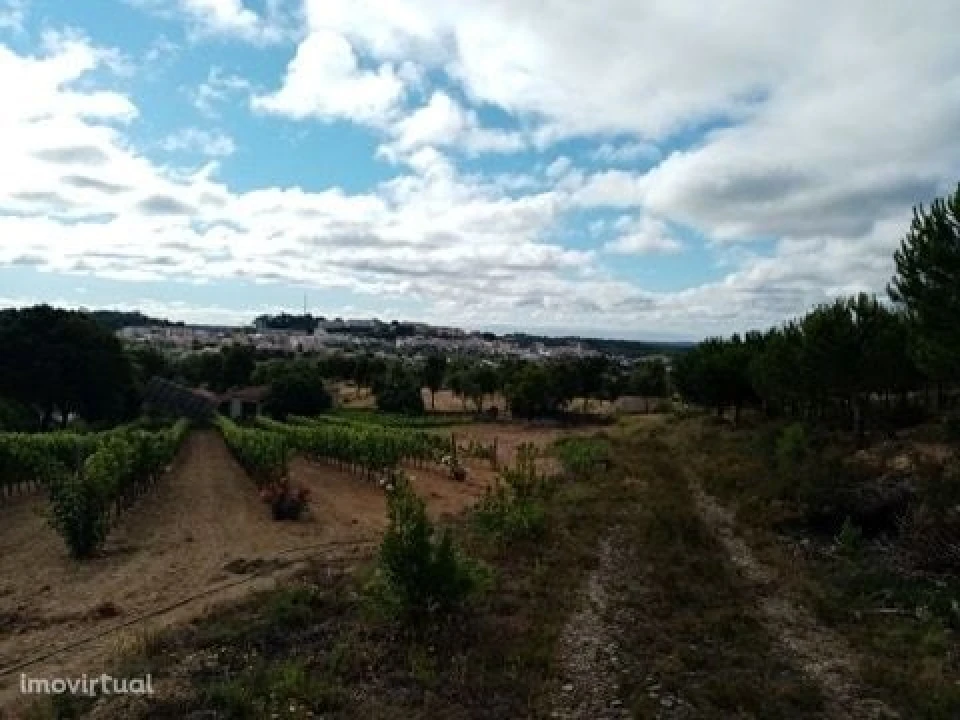 Quinta para Venda em Mação, Penhascoso e Aboboreira Foto 20