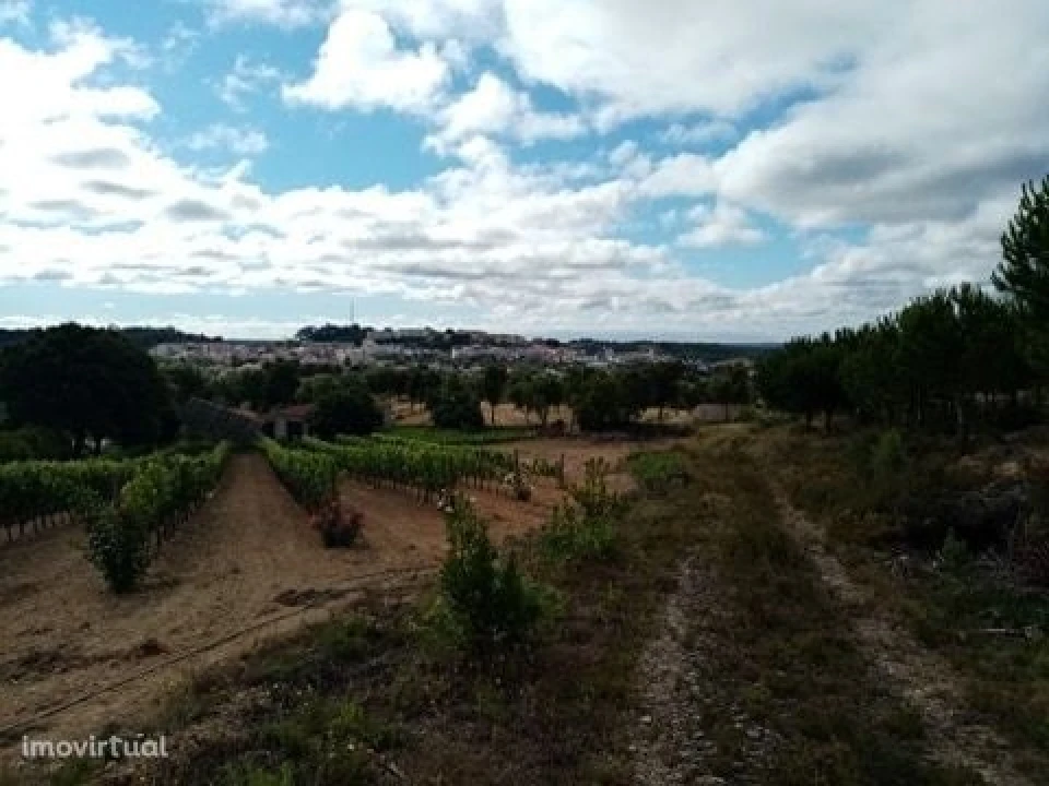 Quinta para Venda em Mação, Penhascoso e Aboboreira Foto 21
