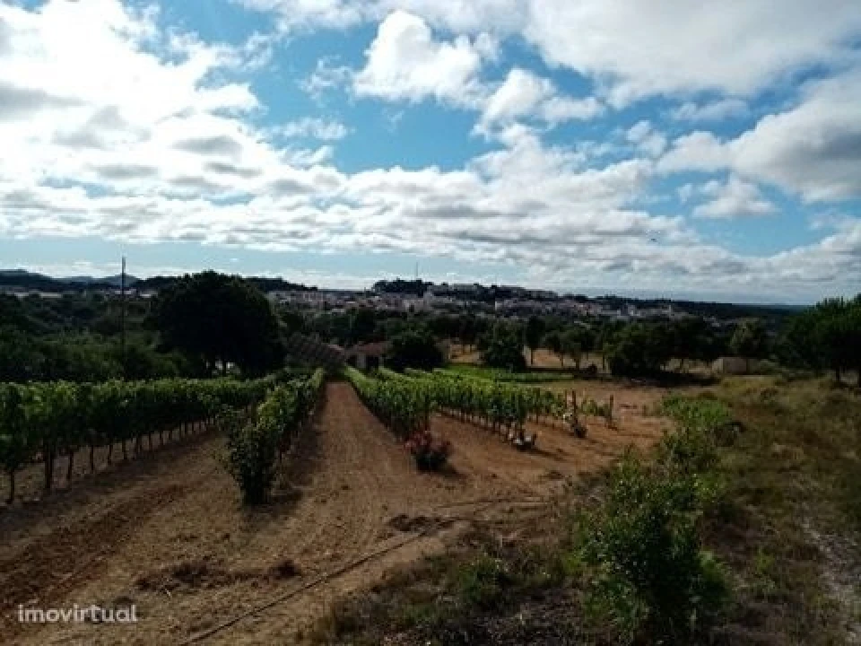 Quinta para Venda em Mação, Penhascoso e Aboboreira Foto 22