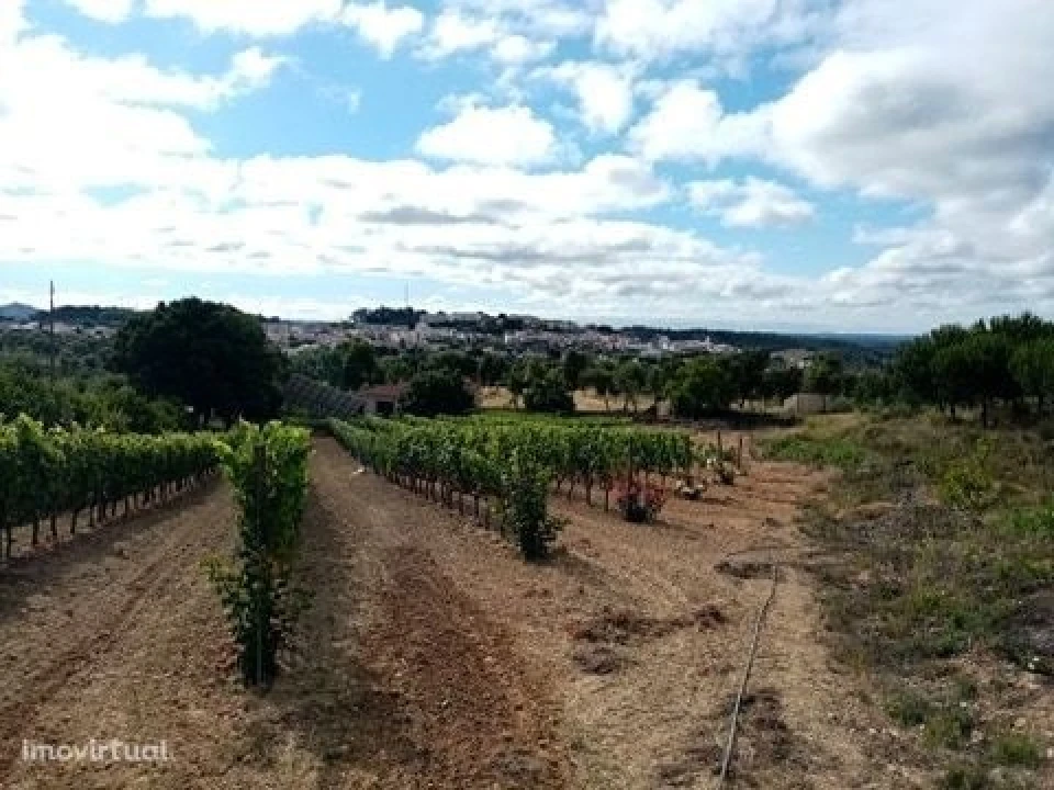 Quinta para Venda em Mação, Penhascoso e Aboboreira Foto 23