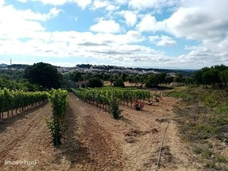 Quinta para Venda em Mação, Penhascoso e Aboboreira Foto 24