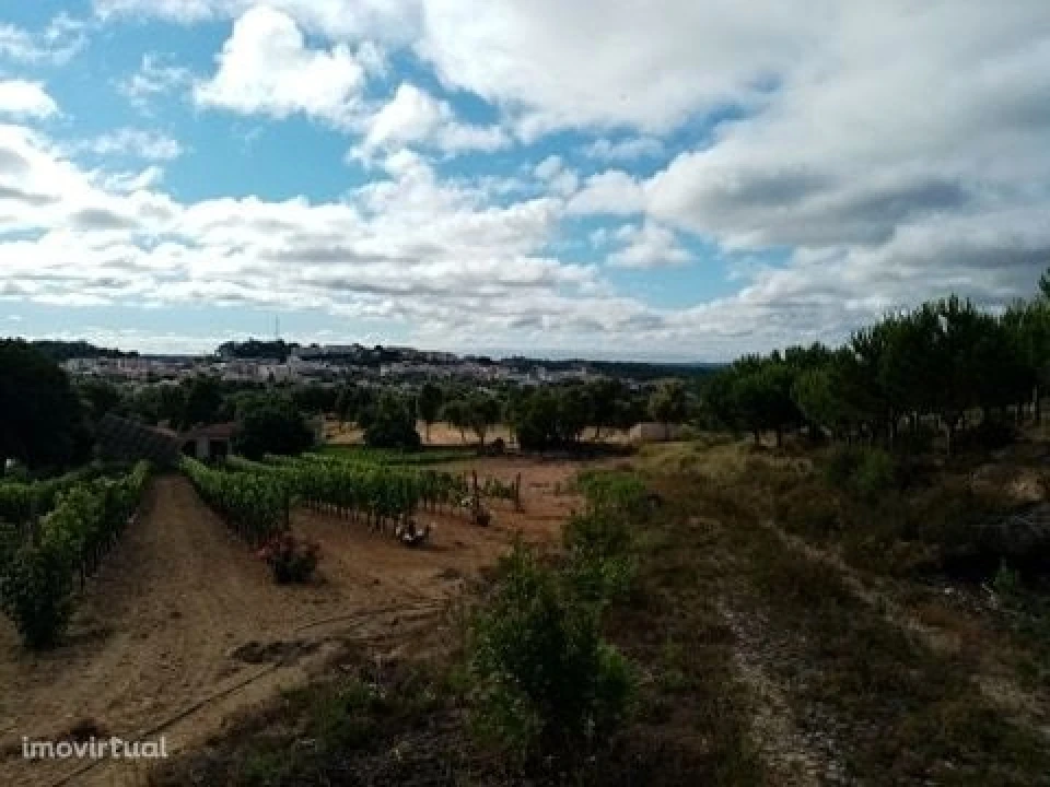 Quinta para Venda em Mação, Penhascoso e Aboboreira Foto 25