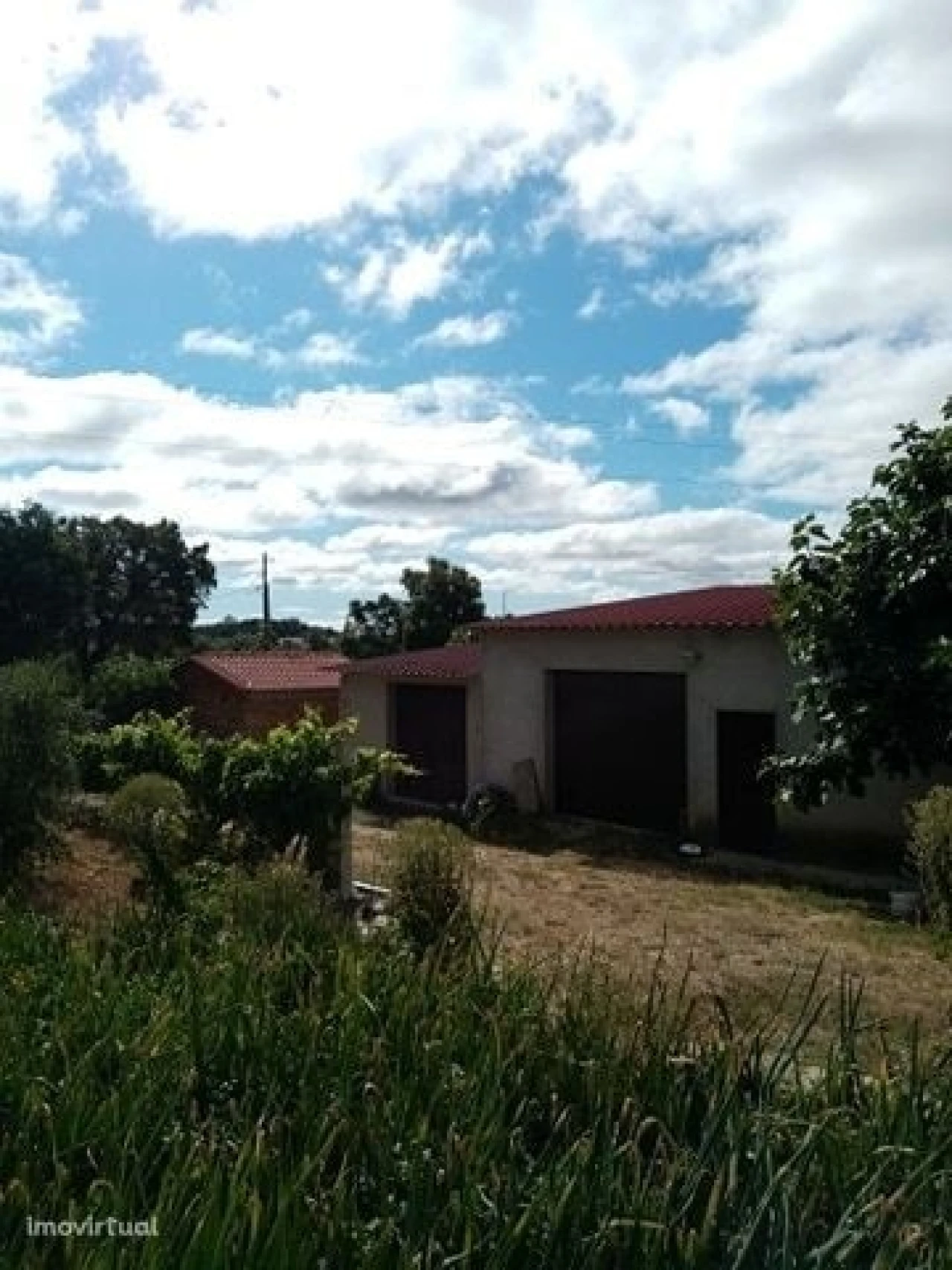 Quinta para Venda em Mação, Penhascoso e Aboboreira Foto 29