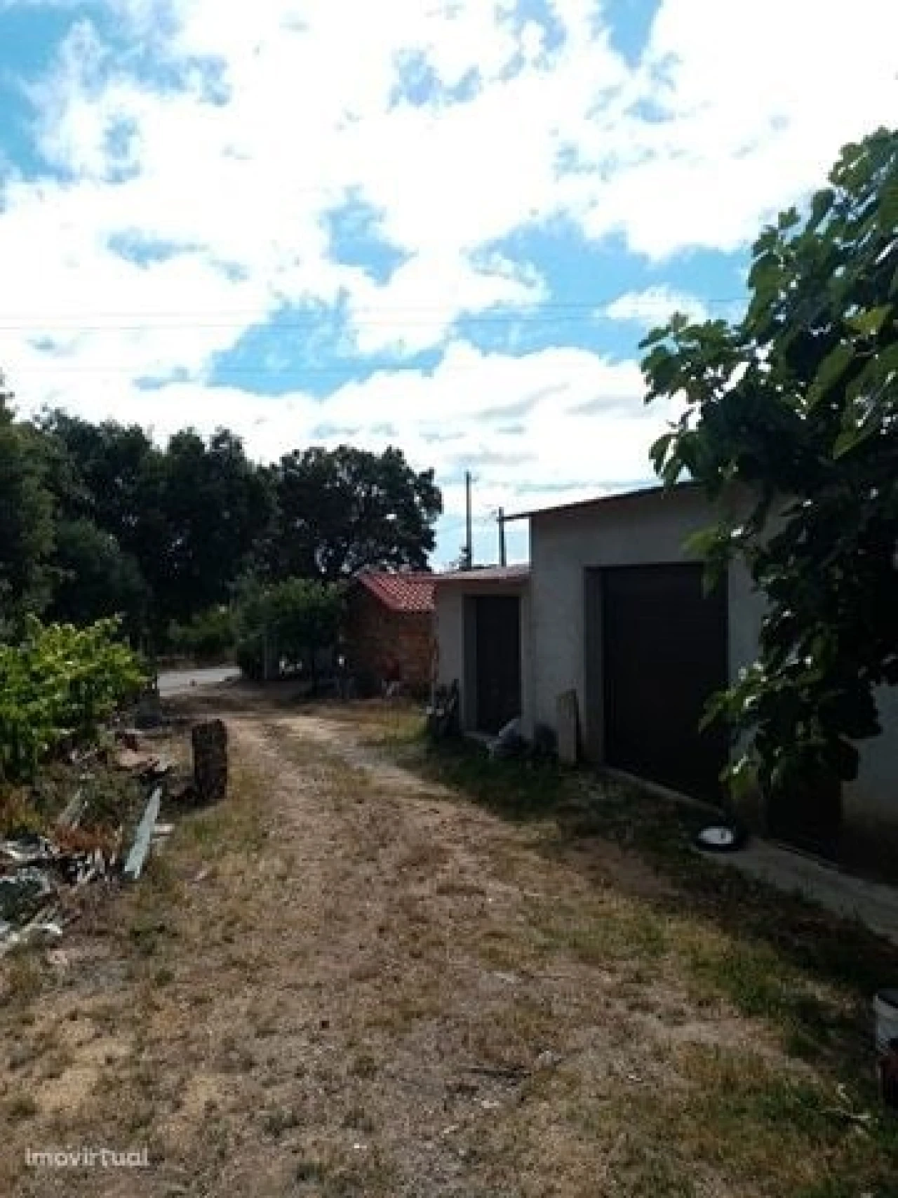 Quinta para Venda em Mação, Penhascoso e Aboboreira Foto 32