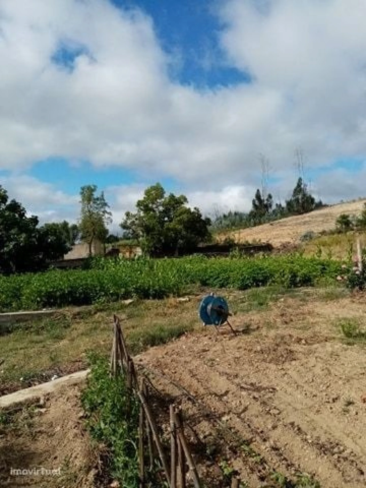 Quinta para Venda em Mação, Penhascoso e Aboboreira Foto 35