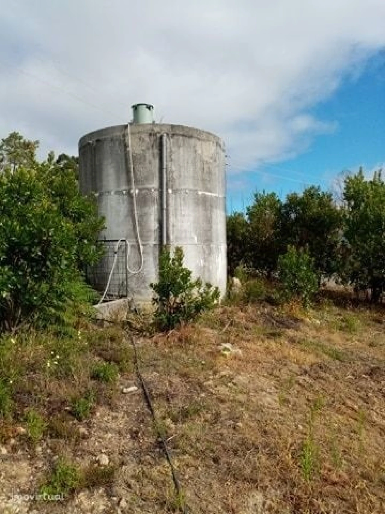 Quinta para Venda em Mação, Penhascoso e Aboboreira Foto 39