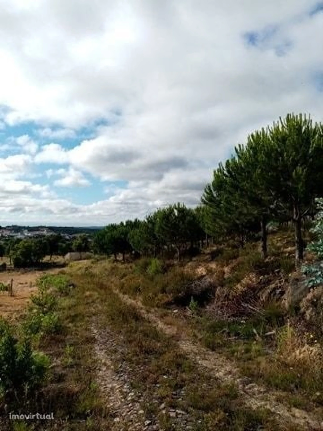 Quinta para Venda em Mação, Penhascoso e Aboboreira Foto 40