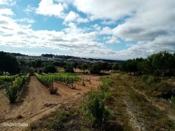 Quinta para Venda em Mação, Penhascoso e Aboboreira