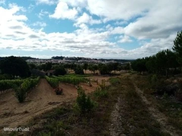 Quinta para Venda em Mação, Penhascoso e Aboboreira