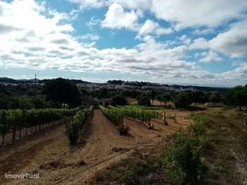 Quinta para Venda em Mação, Penhascoso e Aboboreira