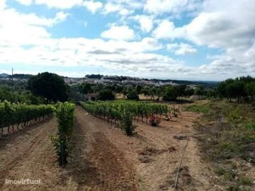 Quinta para Venda em Mação, Penhascoso e Aboboreira
