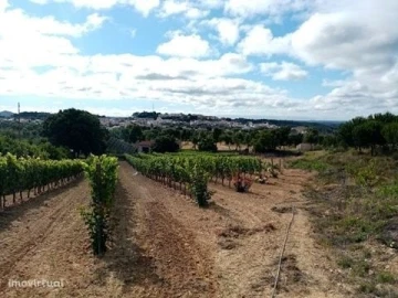 Quinta para Venda em Mação, Penhascoso e Aboboreira