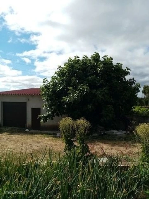 Quinta para Venda em Mação, Penhascoso e Aboboreira
