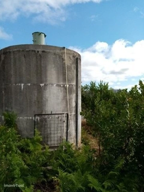 Quinta para Venda em Mação, Penhascoso e Aboboreira
